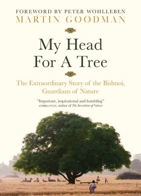 My Head for A Tree